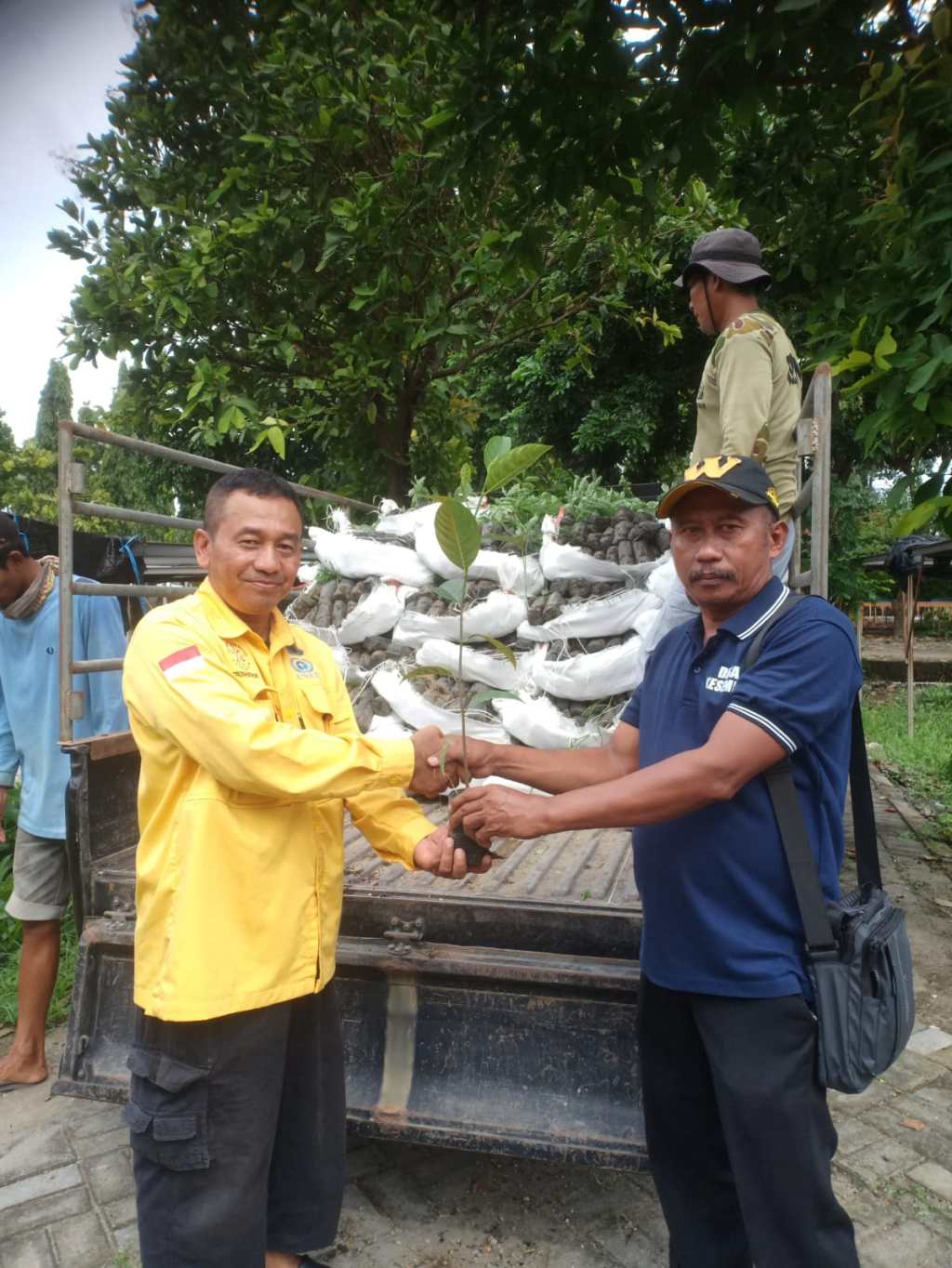 Hujan telah tiba,  RDEE MOJOKERTO dropping 7 ribu bibit pohon  
